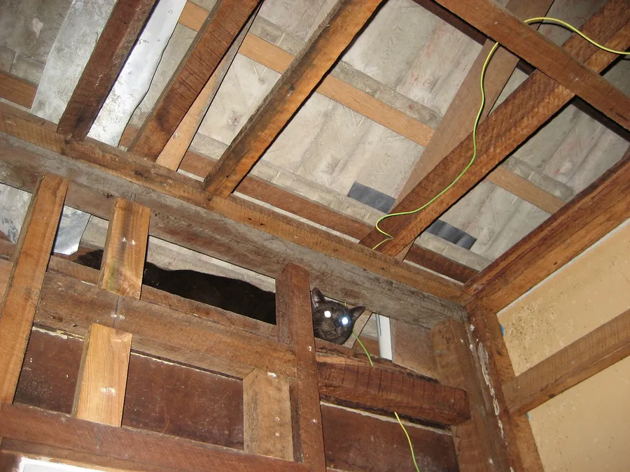Bathroom Renovation Caulfield — up close